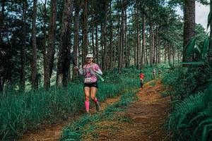 BIB: 
                            <button type="button" onclick="openModal(25752088)" class="btn btn-primary btn-sm float-right btn-popup" data-toggle="modal" data-target=".modal-high-quality">
                        <i class="fas fa-shopping-cart"></i> Add to Cart
                    </button>
                                            <button type="button" onclick="isThisMe(25752088, true)" class="btn btn-success btn-sm float-right btn-popup btn-isme hidden" data-toggle="tooltip" data-placement="bottom" title="นี่คือรูปของคุณใช่ไหม คลิกที่นี่เพื่อเอาเข้าอัลบั้ม">
                        <i class="fas fa-plus"></i> Add to album
                    </button>
                    <button type="button" onclick="isThisMe(25752088, false)" class="btn btn-warning btn-sm float-right btn-popup btn-isnotme hidden">
                        <i class="fas fa-ban"></i> Remove from album
                    </button>